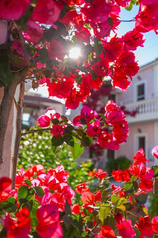 Margarita Resort Kalamákion Dış mekan fotoğraf
